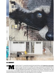 Street Art Today Article on the 7 best murals of the month in May 2019 featuring Sonny's Raccoon mural in Cozumel, Mexico