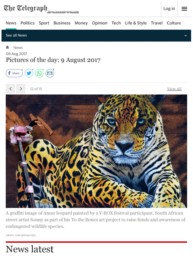 The Telegraph Pictures of the day featuring Sonny's Amur Leopard Mural in Vladivostok Russia
