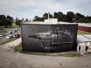 Sonny Street Art mural of humpback whale, painted in Gisborne, New Zealand for Sea Walls in partnership with Pangeaseed Foundation