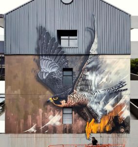 Sonny's street art mural of a peregrine falcon, painted in Linden, Johannesburg South Africa