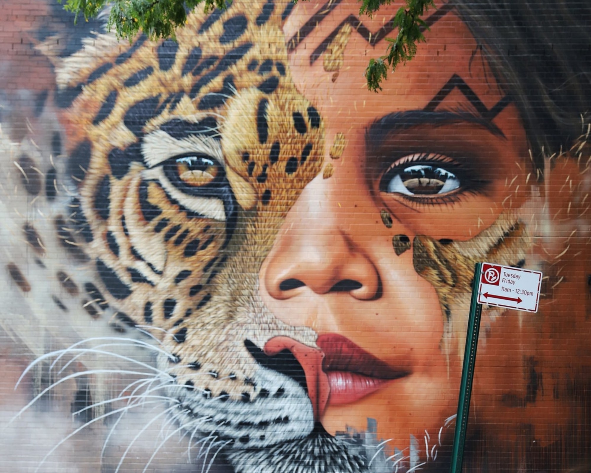 Close up of Sonny Street Art Mural of Amazonian Girl and Jaguar Face Painted in Williamsburg, Brooklyn New York as part of Climate Week 2018 in partnership with UNICEF and Greenpoint Innovations
