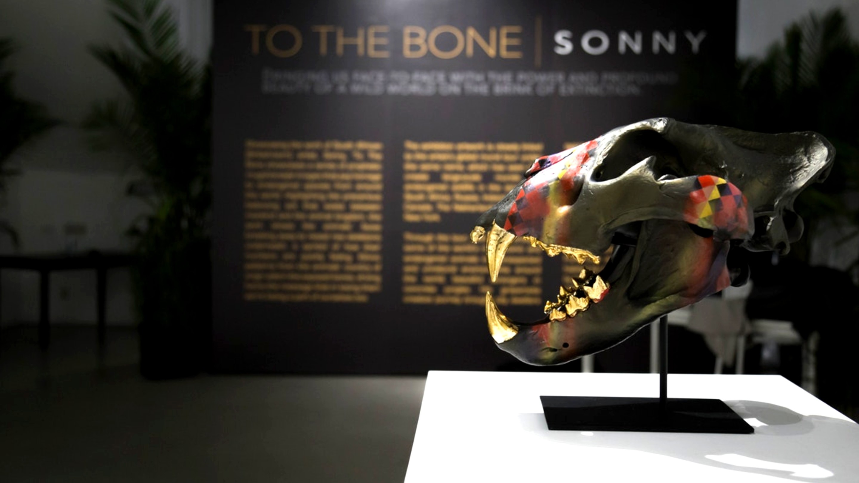 Setup of Sonny's To The Bone exhibition in New York